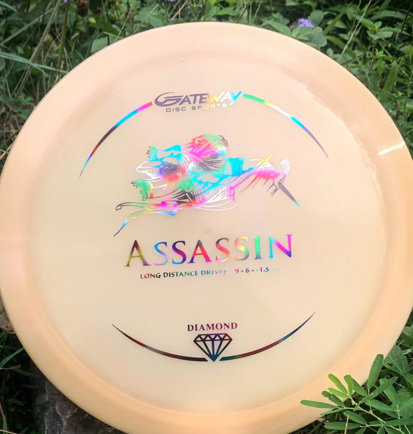 Gateway Diamond Assassin